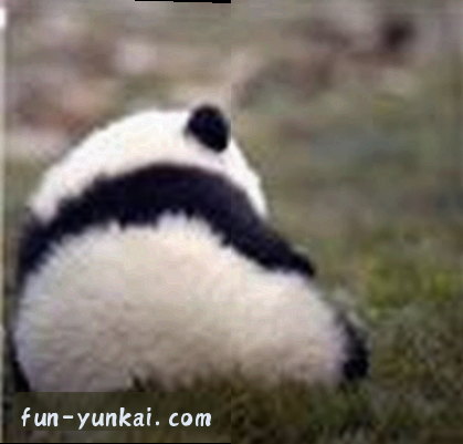 孙莉